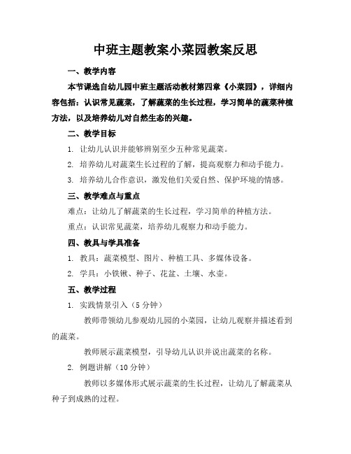 中班主题教案小菜园教案反思