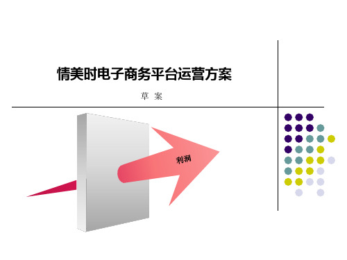 品牌电商运营方案