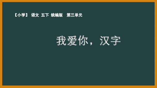 人教部编版语文五年级下册第三单元《我爱你,汉字》优秀PPT课件