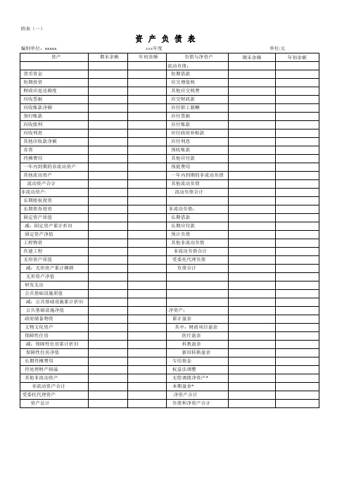 2022年最新医院会计报表模板