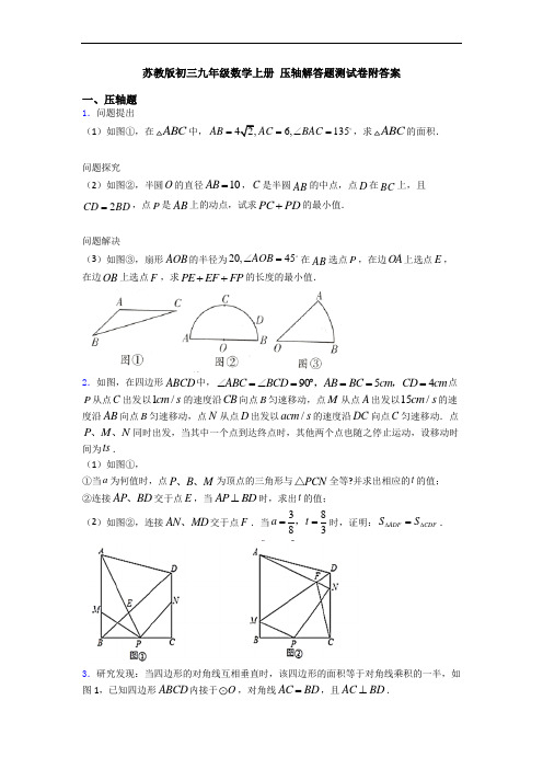 苏教版初三九年级数学上册 压轴解答题测试卷附答案