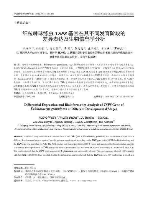 细粒棘球绦虫TSP8 基因在其不同发育阶段的差异表达及生物信息学分析