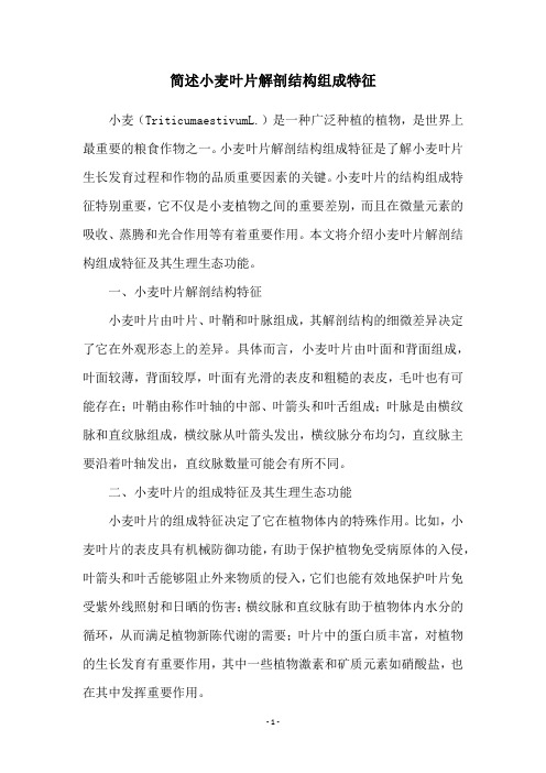 简述小麦叶片解剖结构组成特征