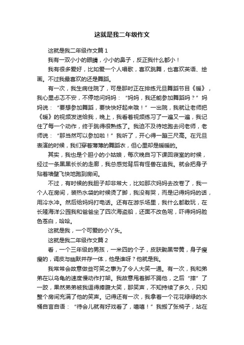 这就是我二年级作文