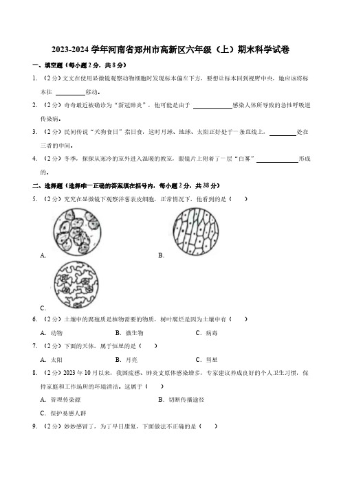 河南省郑州市高新区2023-2024学年六年级上学期期末科学试题(含解析)