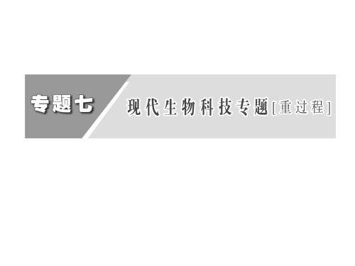 高三一轮基因工程共27页PPT资料