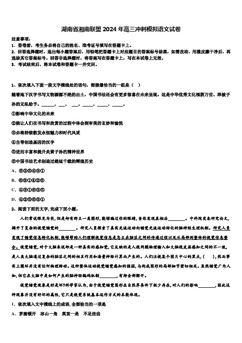 湖南省湘南联盟2024年高三冲刺模拟语文试卷含解析