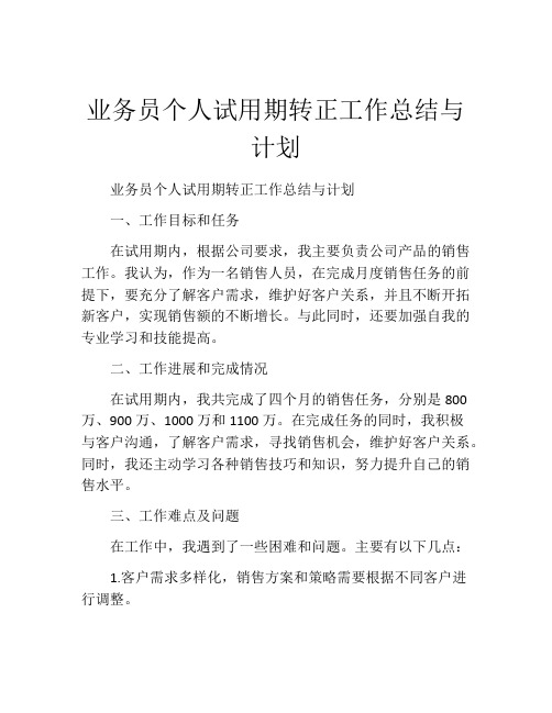 业务员个人试用期转正工作总结与计划