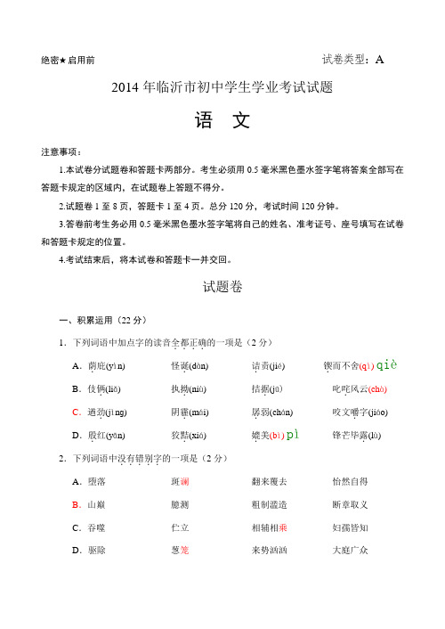 2014年山东省临沂市中考语文试卷及答案