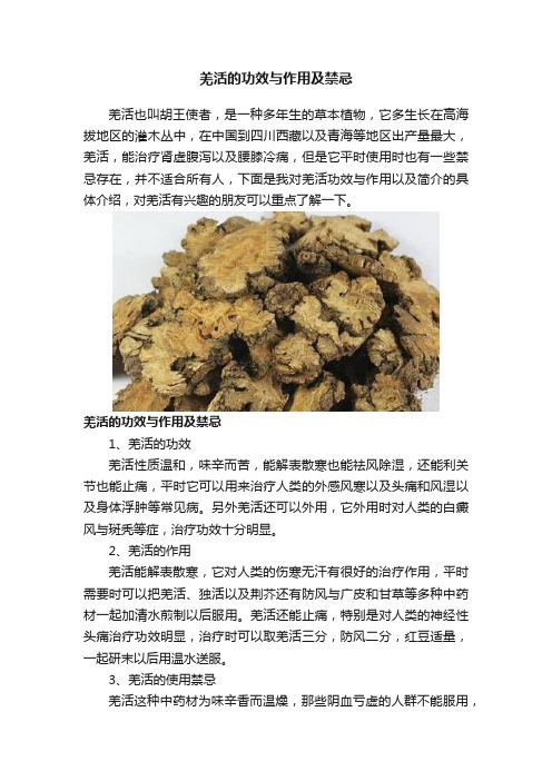 羌活的功效与作用及禁忌