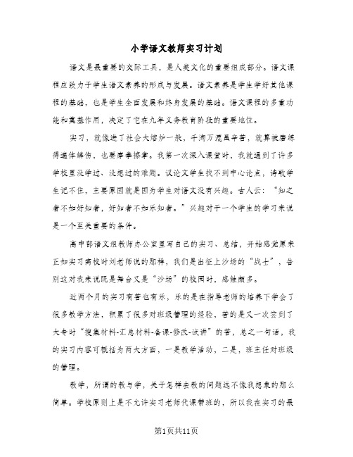 2024年小学语文教师实习计划（三篇）