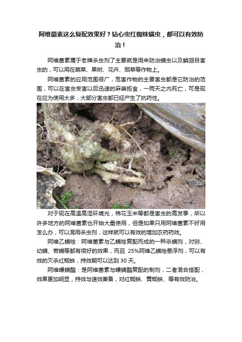 阿维菌素这么复配效果好？钻心虫红蜘蛛螨虫，都可以有效防治！