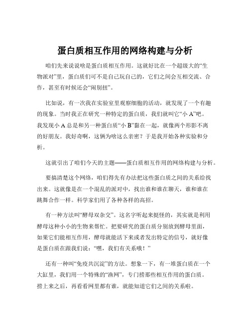 蛋白质相互作用的网络构建与分析