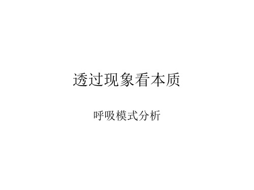 《透过现象看本质》PPT课件