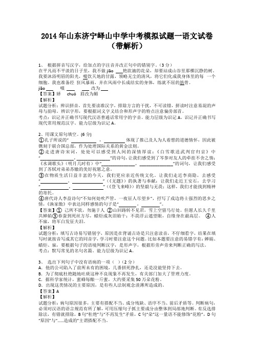 山东济宁峄山中学2014届中考模拟试题一语文试卷(纯word解析版)