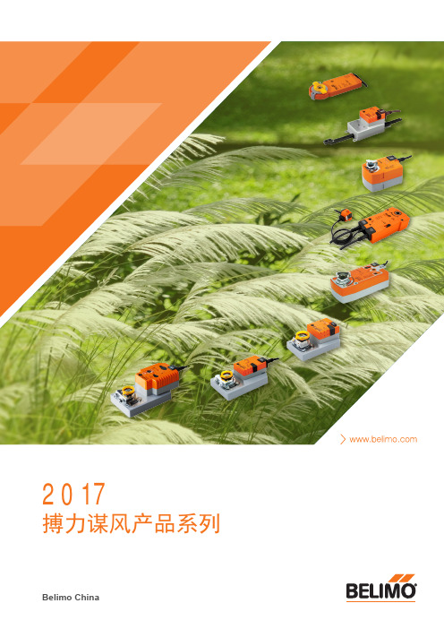 2017搏力谋风产品系列