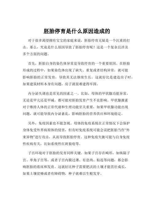 胚胎停育是什么原因造成的