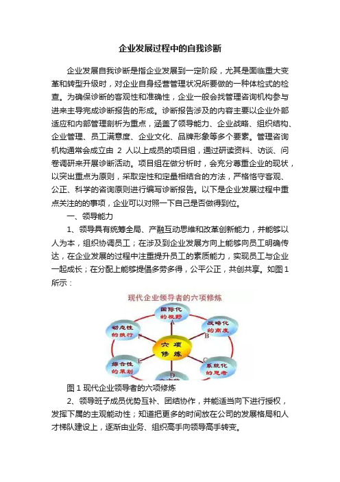 企业发展过程中的自我诊断