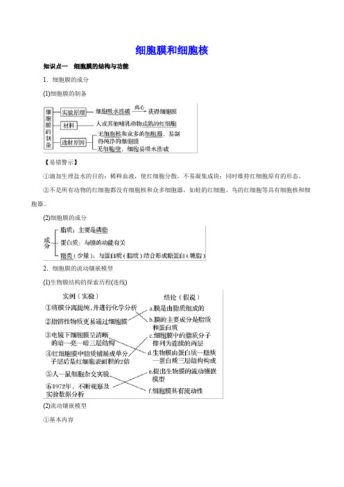 细胞膜和细胞核 知识点总结与重难点