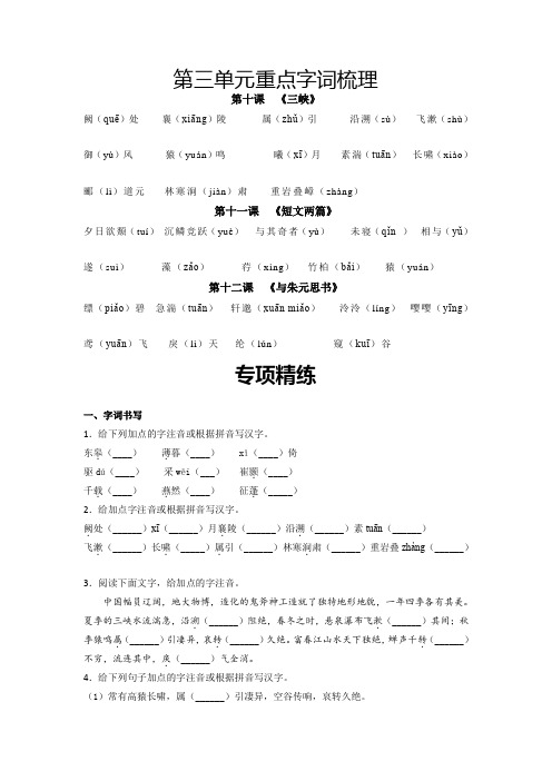 人教版八年级语文上册第三单元重点字词梳理与专项精练(部编版原卷版)