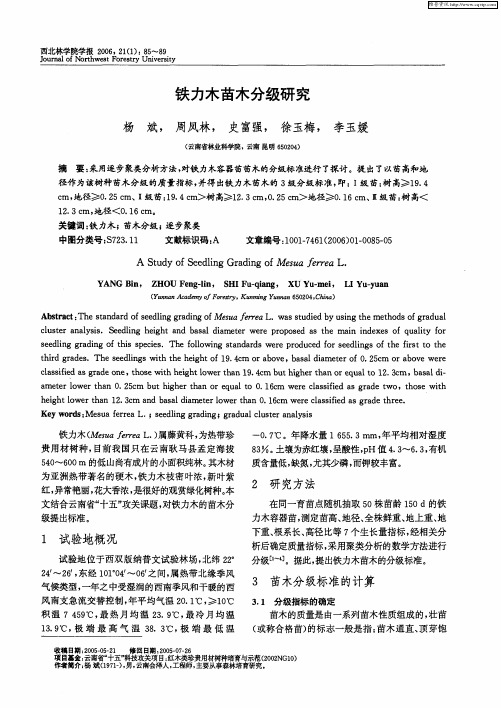 铁力木苗木分级研究