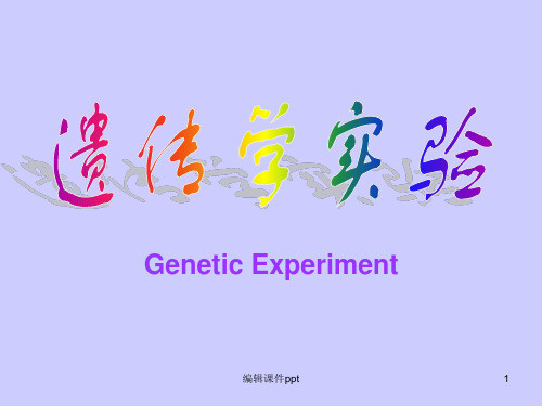 X小体的检测和多倍体诱发实验