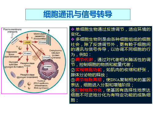 2019信号转导