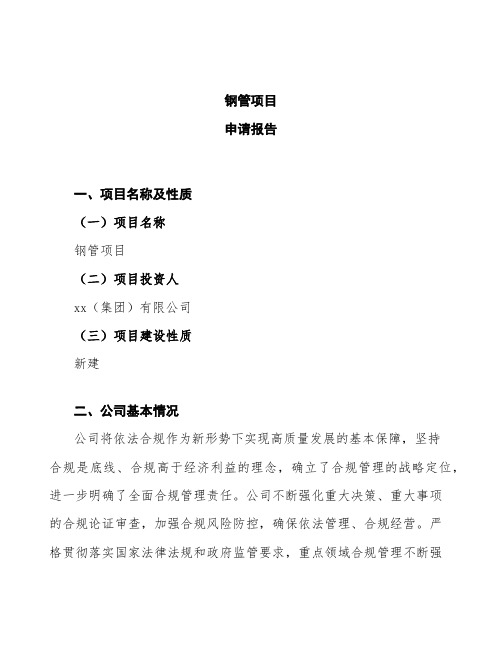 钢管项目申请报告