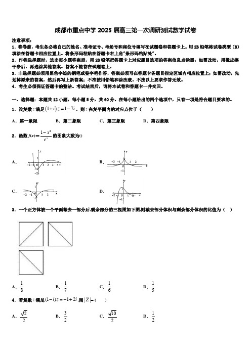 成都市重点中学2025届高三第一次调研测试数学试卷含解析