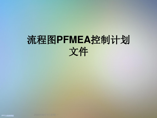 流程图PFMEA控制计划文件