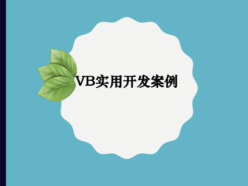 7.1 VB实用开发案例[9页]