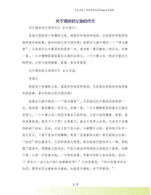 关于调皮的父亲的作文