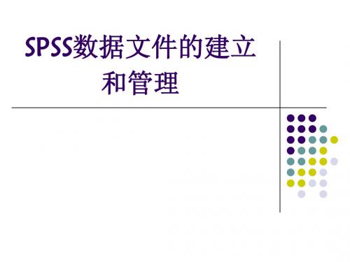 2 SPSS数据文件的建立和管理