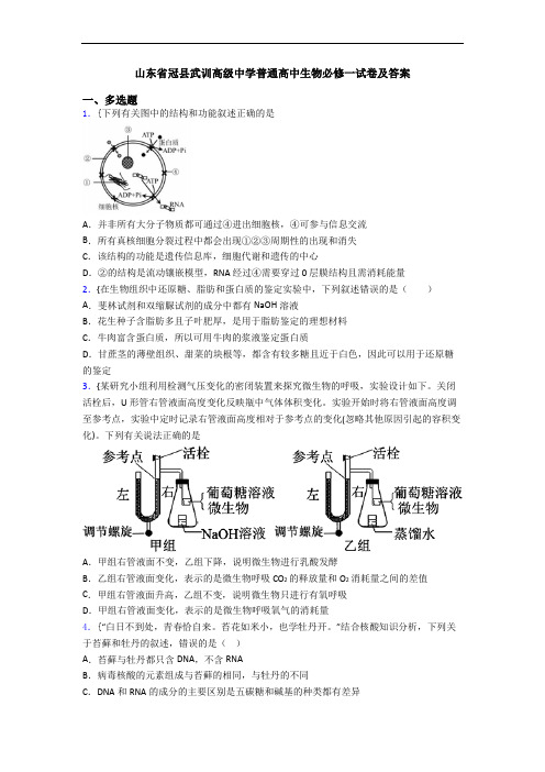 山东省冠县武训高级中学普通高中生物必修一试卷及答案