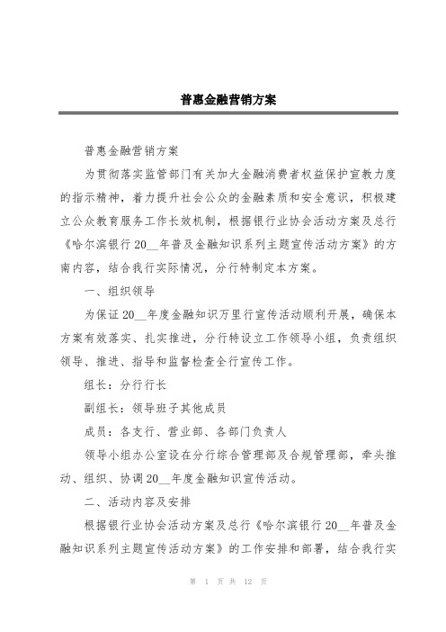 普惠金融营销方案