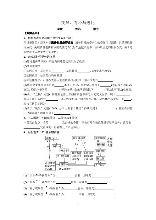 2020届高三生物复习《变异育种与进化》学案含答案