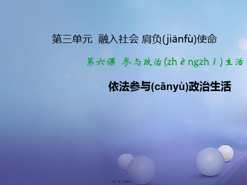 九年级政治全册第三单元融入社会肩负使命第六课参与政治生活第3框依法参与政治生活课件新人教版[1]