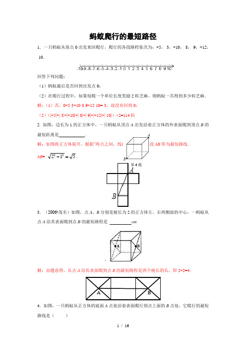 专题训练 蚂蚁爬行的最短路径(含答案)