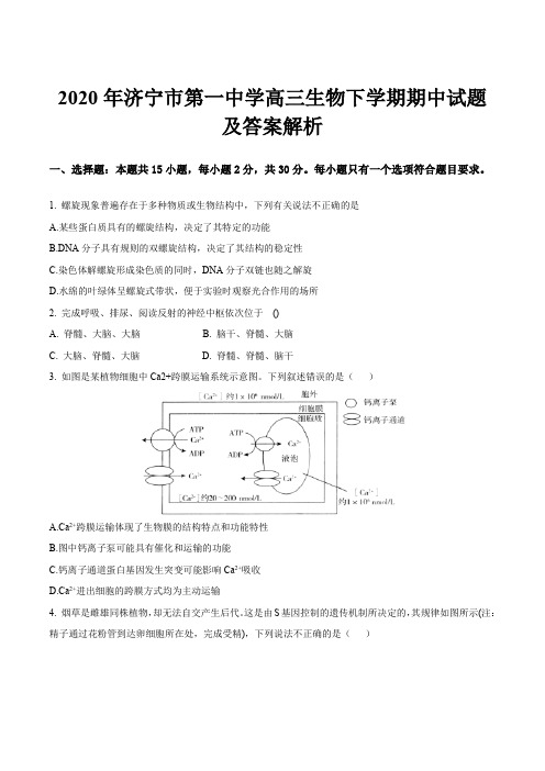 2020年济宁市第一中学高三生物下学期期中试题及答案解析