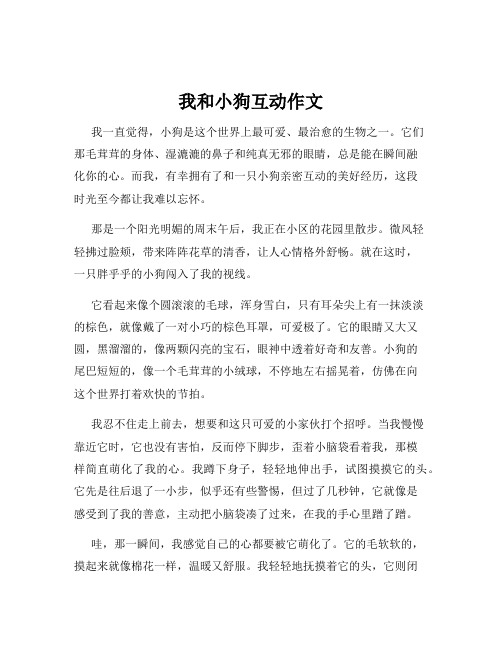 我和小狗互动作文