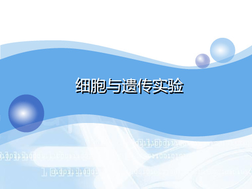 细胞与医学遗传学实验：5染色体标本的制备