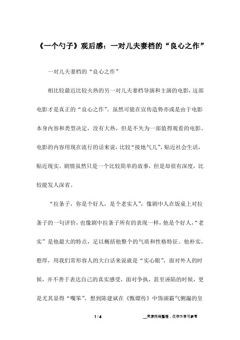 《一个勺子》观后感:一对儿夫妻档的“良心之作”