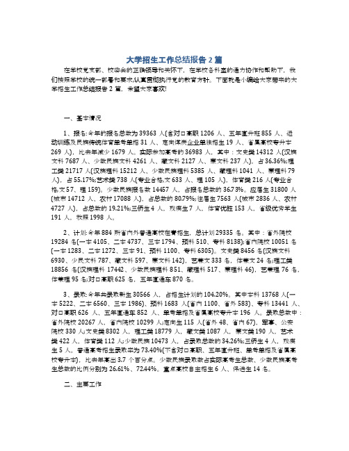 大学招生工作总结报告2篇