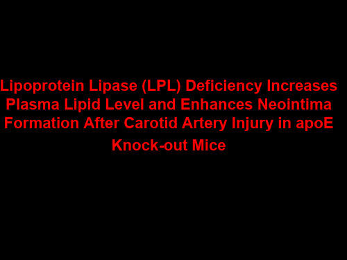 建立基因敲除小鼠颈动脉粥样硬化模型(英文)PPT课件