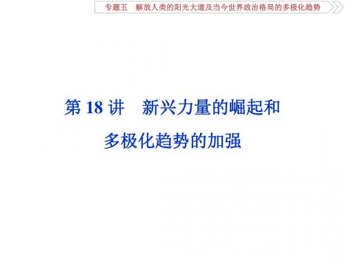 2020届一轮复习人民版 专题五 第18讲 新兴力量的崛起和多极化趋势的加强 课件(47张)