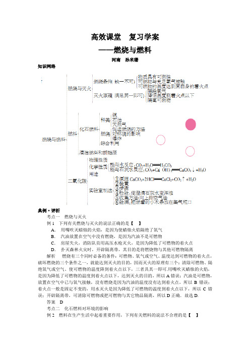 鲁教版化学-九年级上册-高效课堂  复习学案——燃烧与燃料