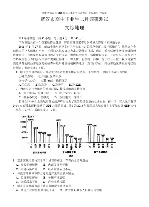 湖北省武汉市2019届高三毕业生二月调研 文综地理_含答案