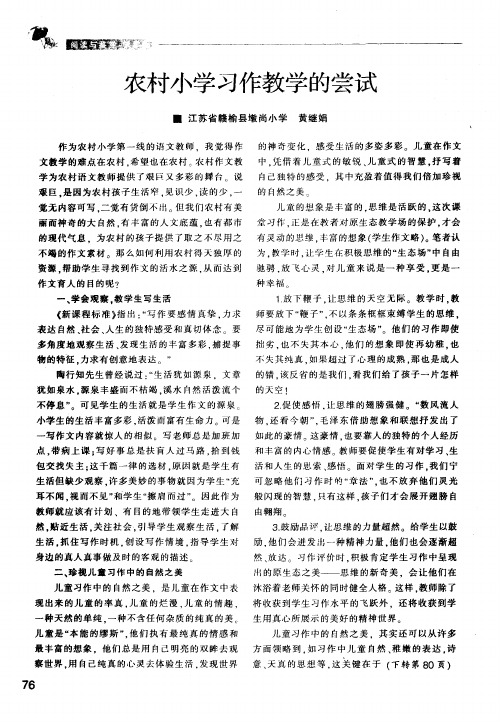 农村小学习作教学的尝试