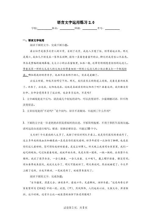 语言文字运用练习2.0