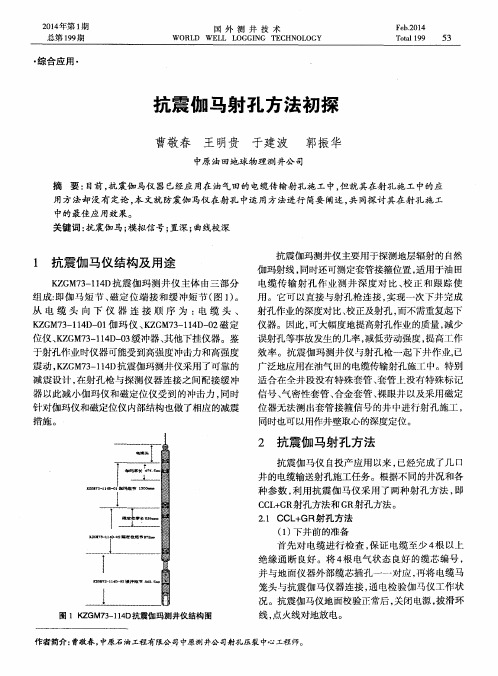 抗震伽马射孔方法初探